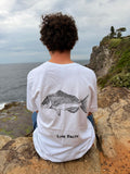 snapper